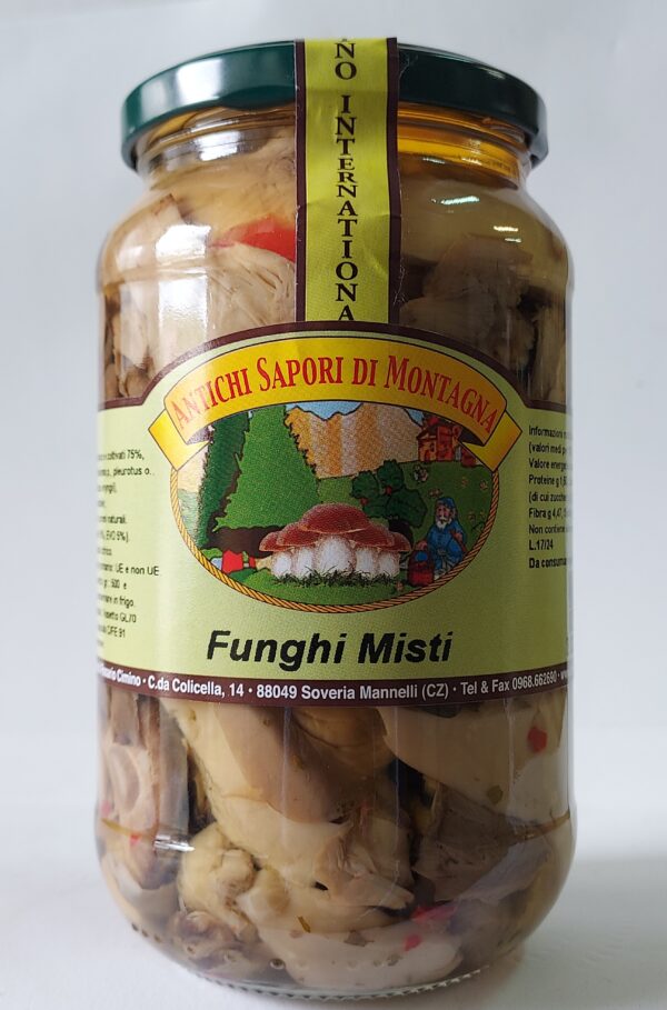 Funghi Misti di bosco e coltivati