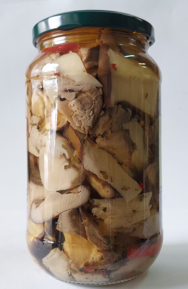 Funghi Misti di bosco e coltivati